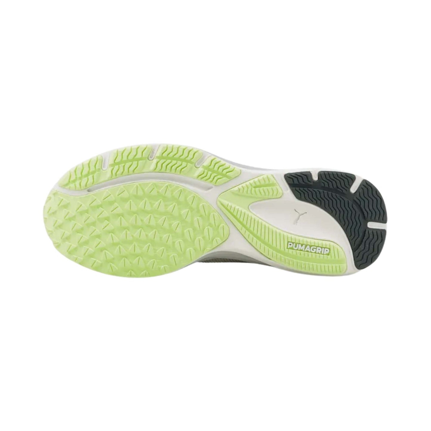 PUMA WOMEN'S VELOCITY 2