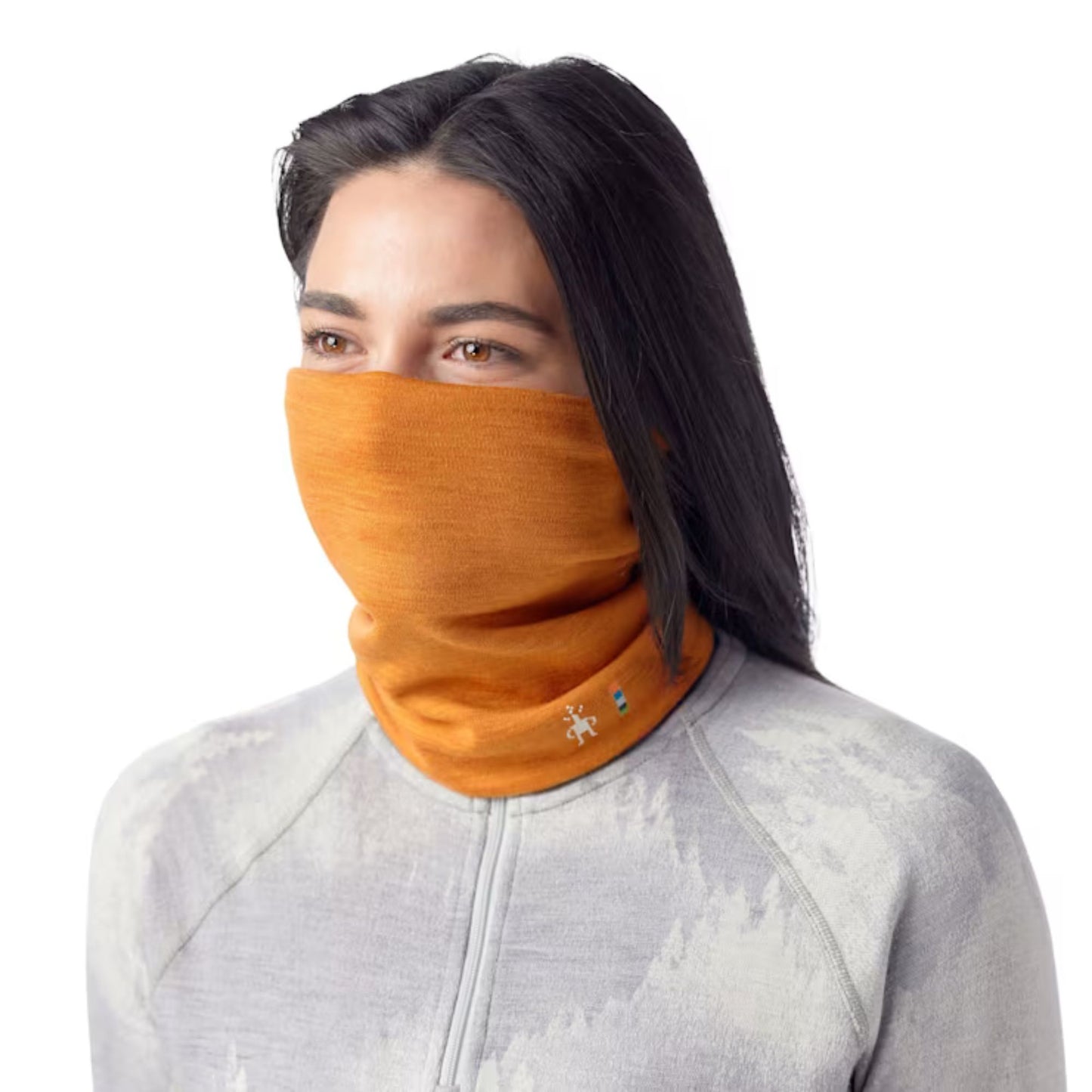 SMARTWOOL THERMAL MERINO COLORBLOCK NECK GAITER