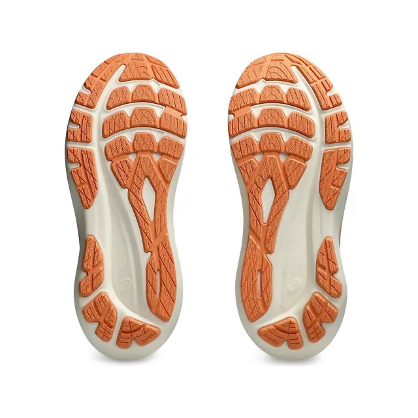 ASICS WOMEN'S GT-2000 V13