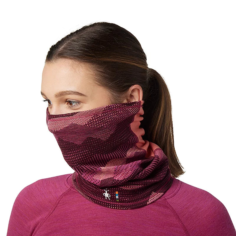 SMARTWOOL THERMAL MERINO COLORBLOCK NECK GAITER