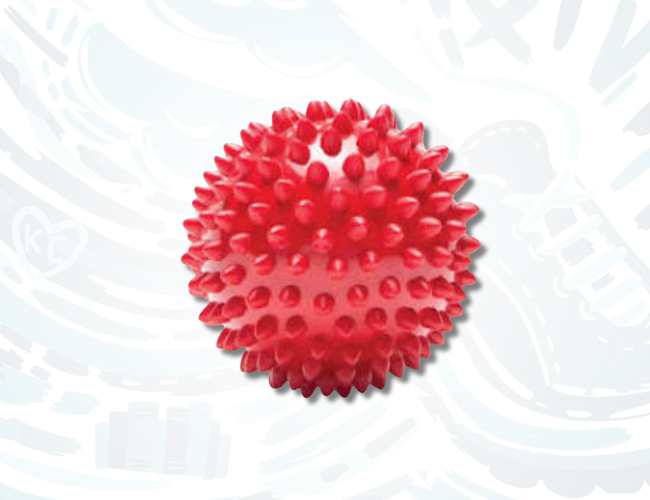 Pro Tec Spikey Ball