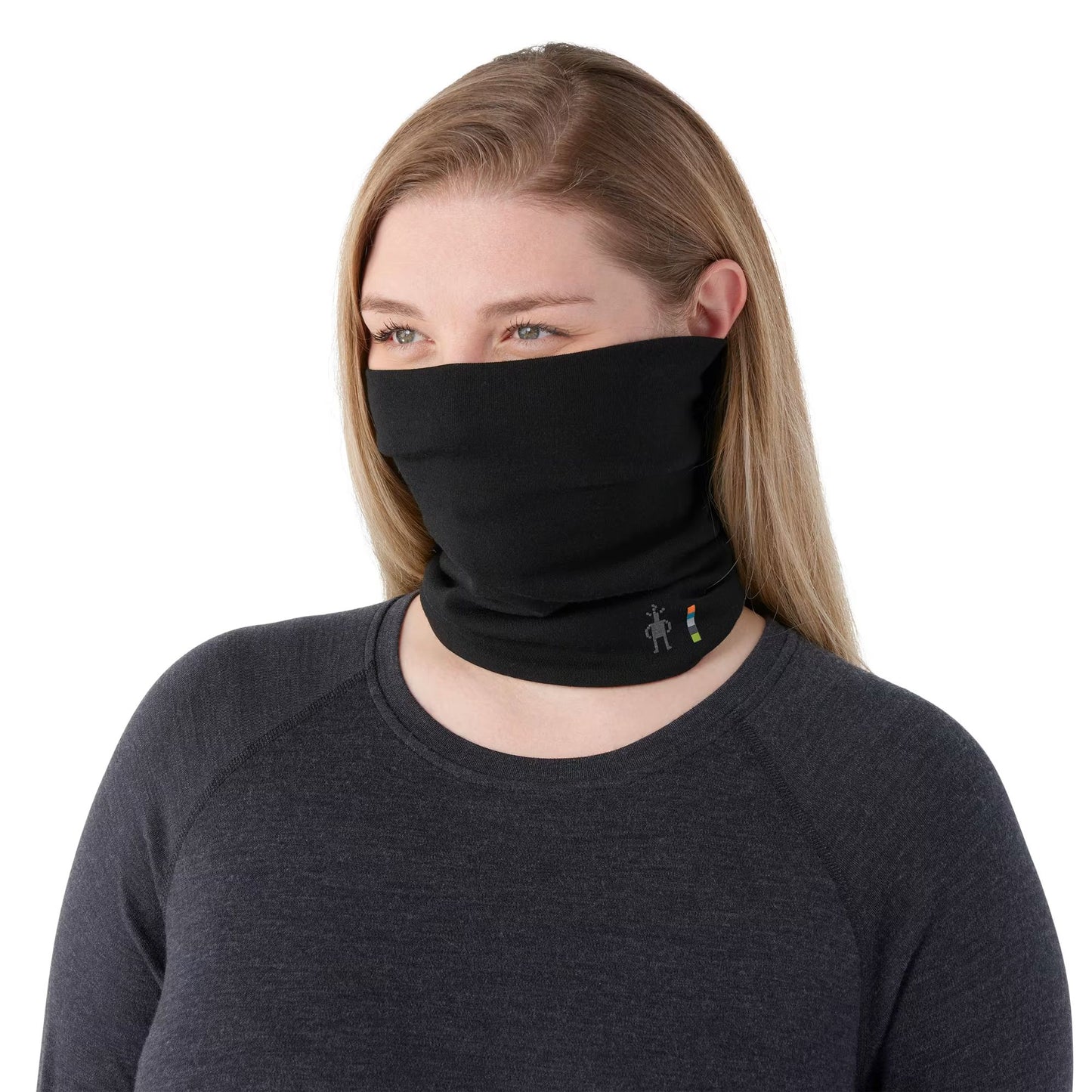 SMARTWOOL THERMAL MERINO COLORBLOCK NECK GAITER