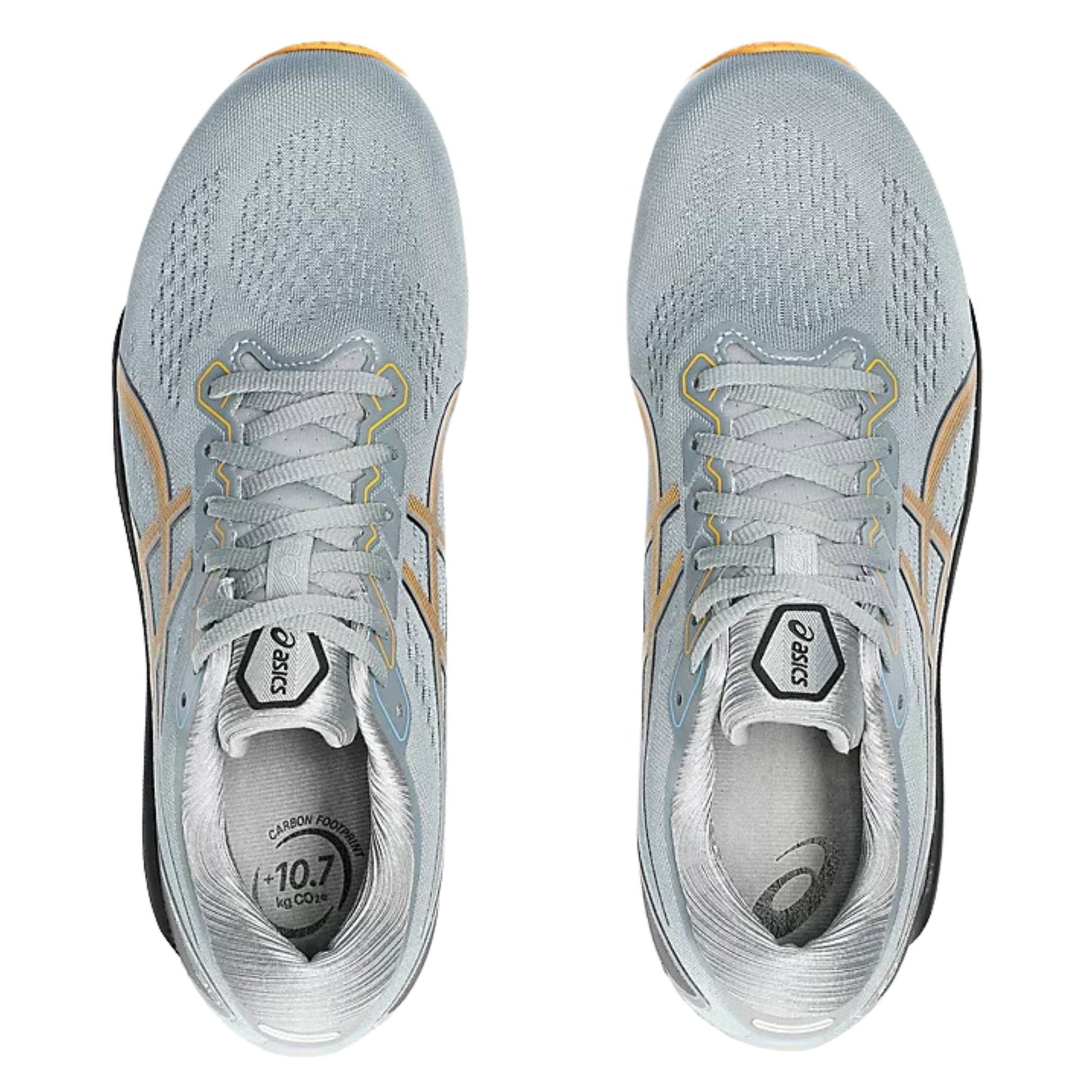 ASICS MEN'S KAYANO 30
