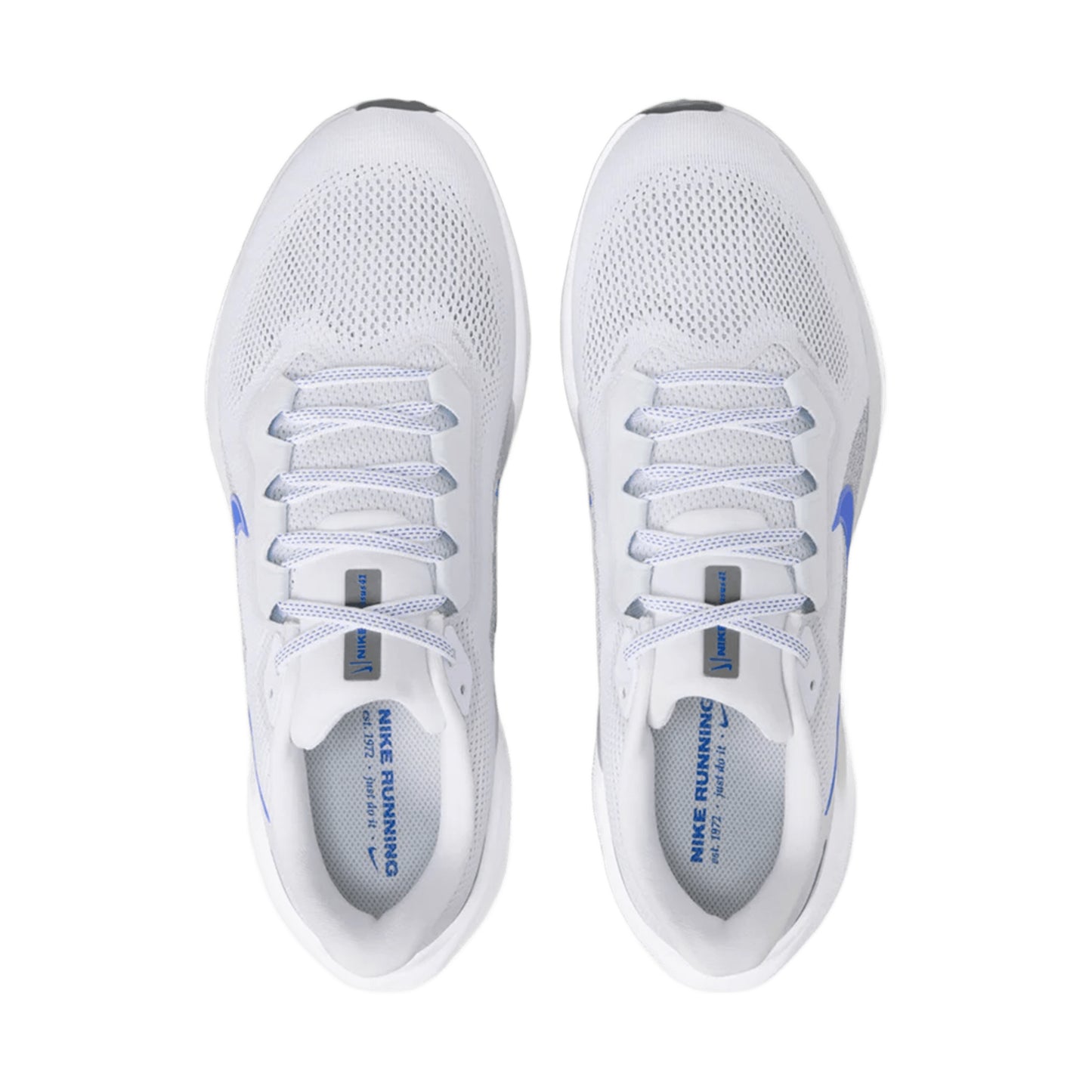 NIKE MEN'S PEGASUS 41