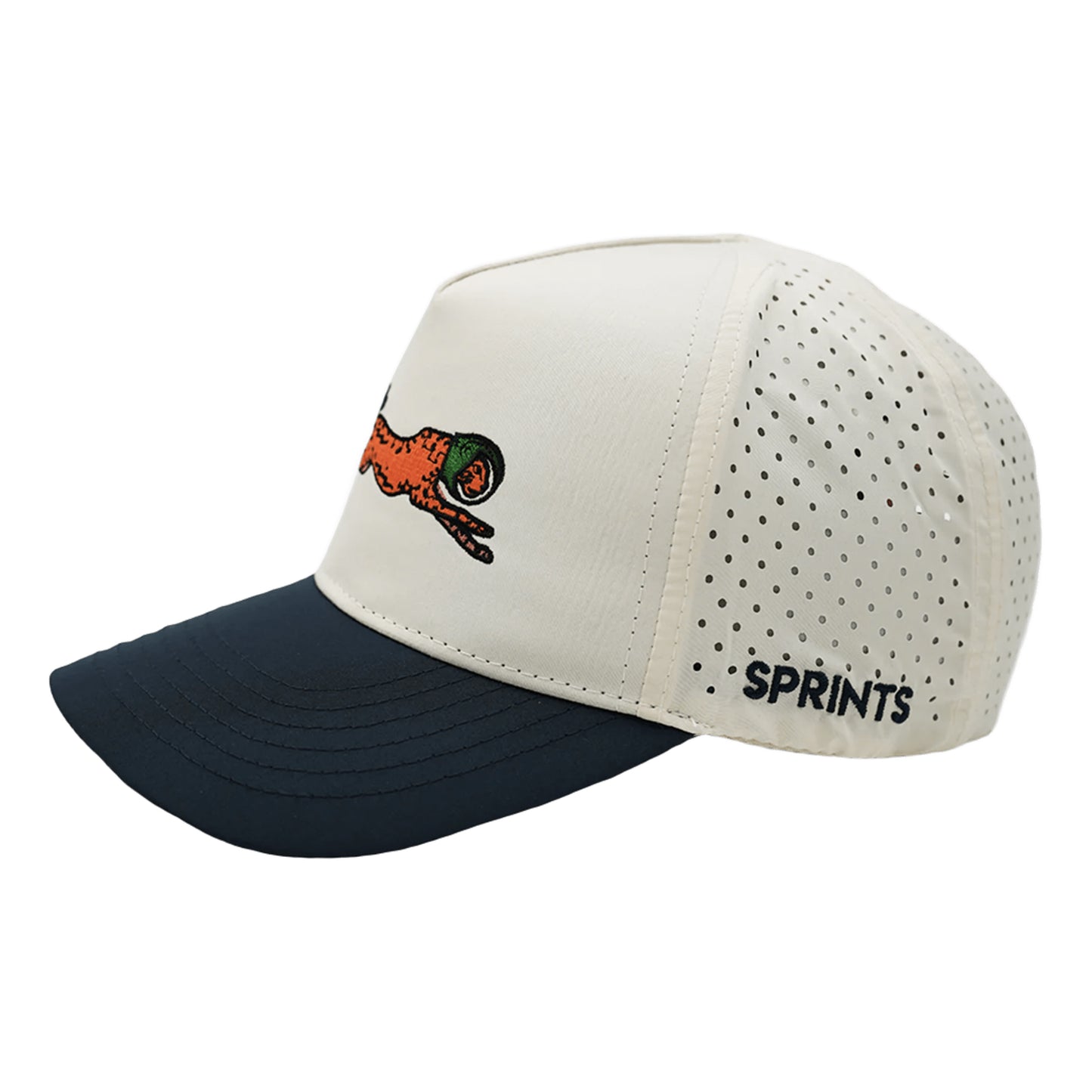 SPRINTS STRUCTURED V.P. HAT