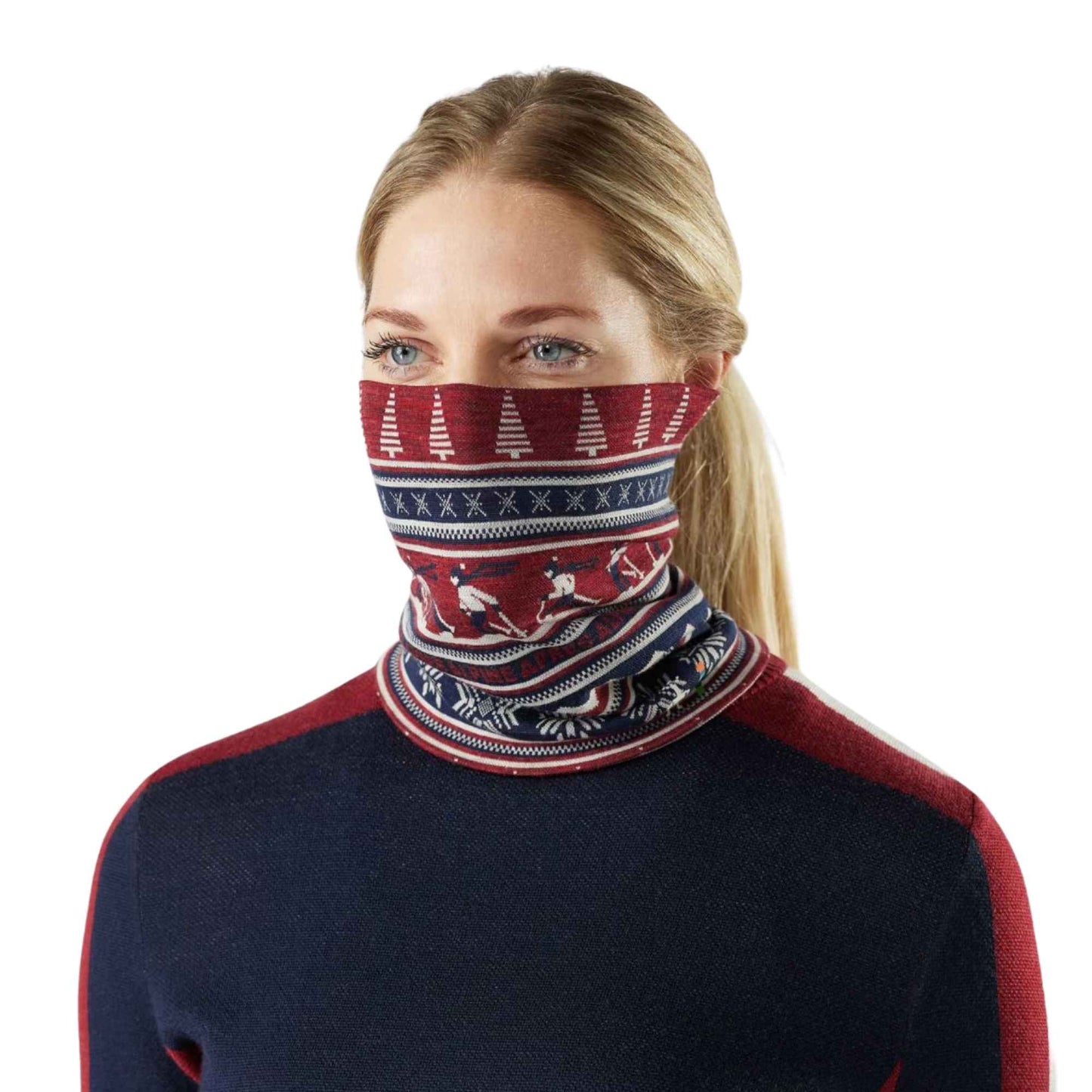 SMARTWOOL THERMAL MERINO COLORBLOCK NECK GAITER
