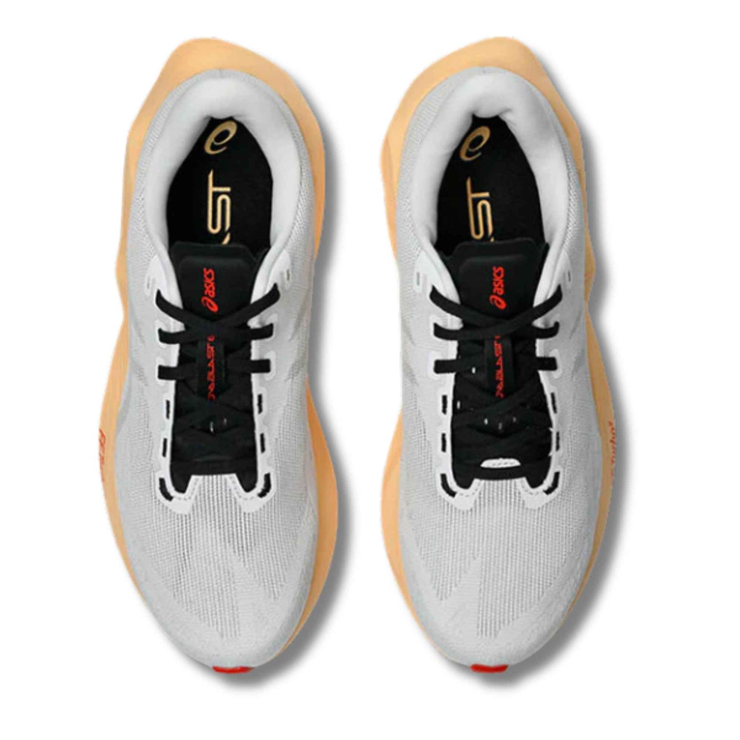 ASICS MEN'S NOVABLAST 6