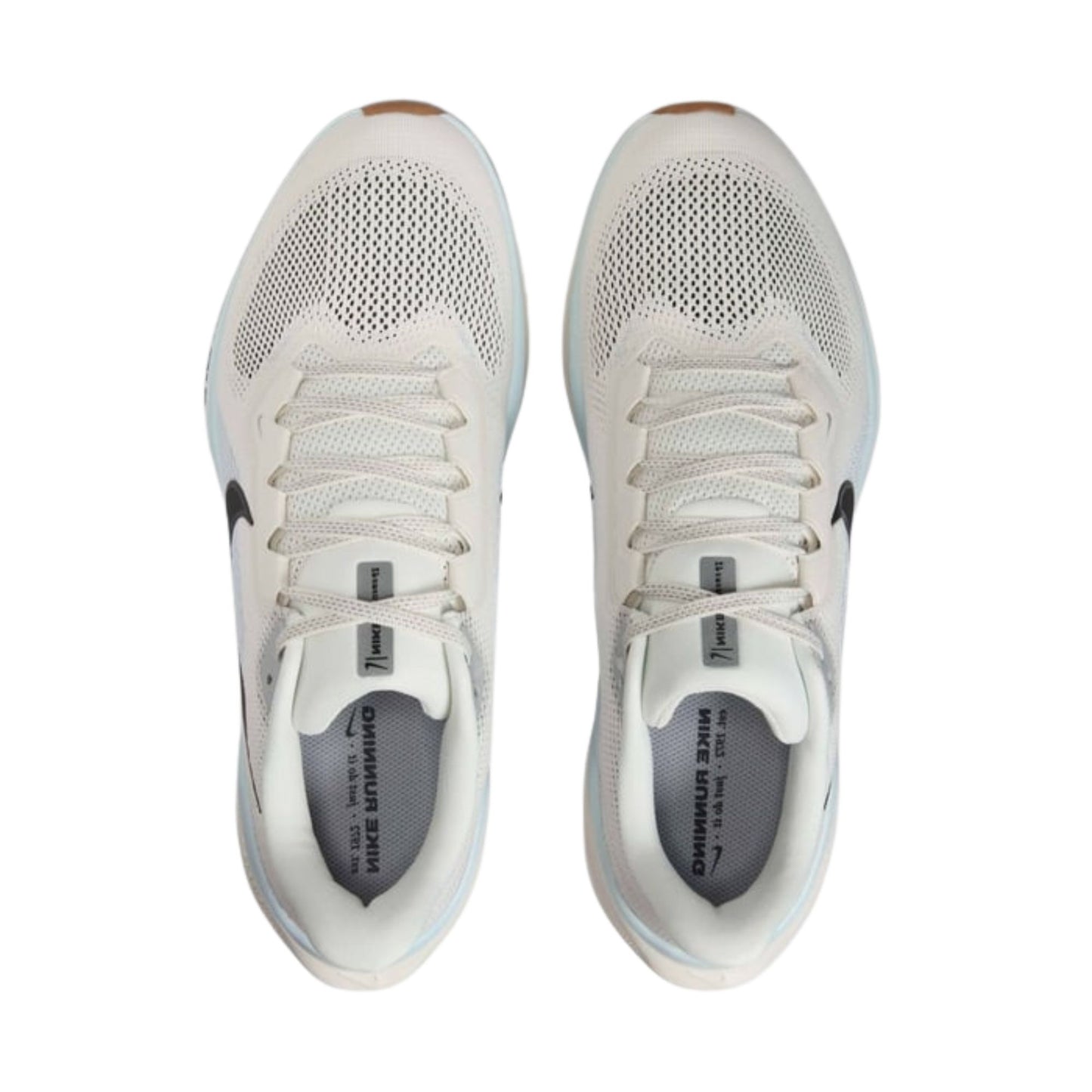 NIKE MEN'S PEGASUS 41
