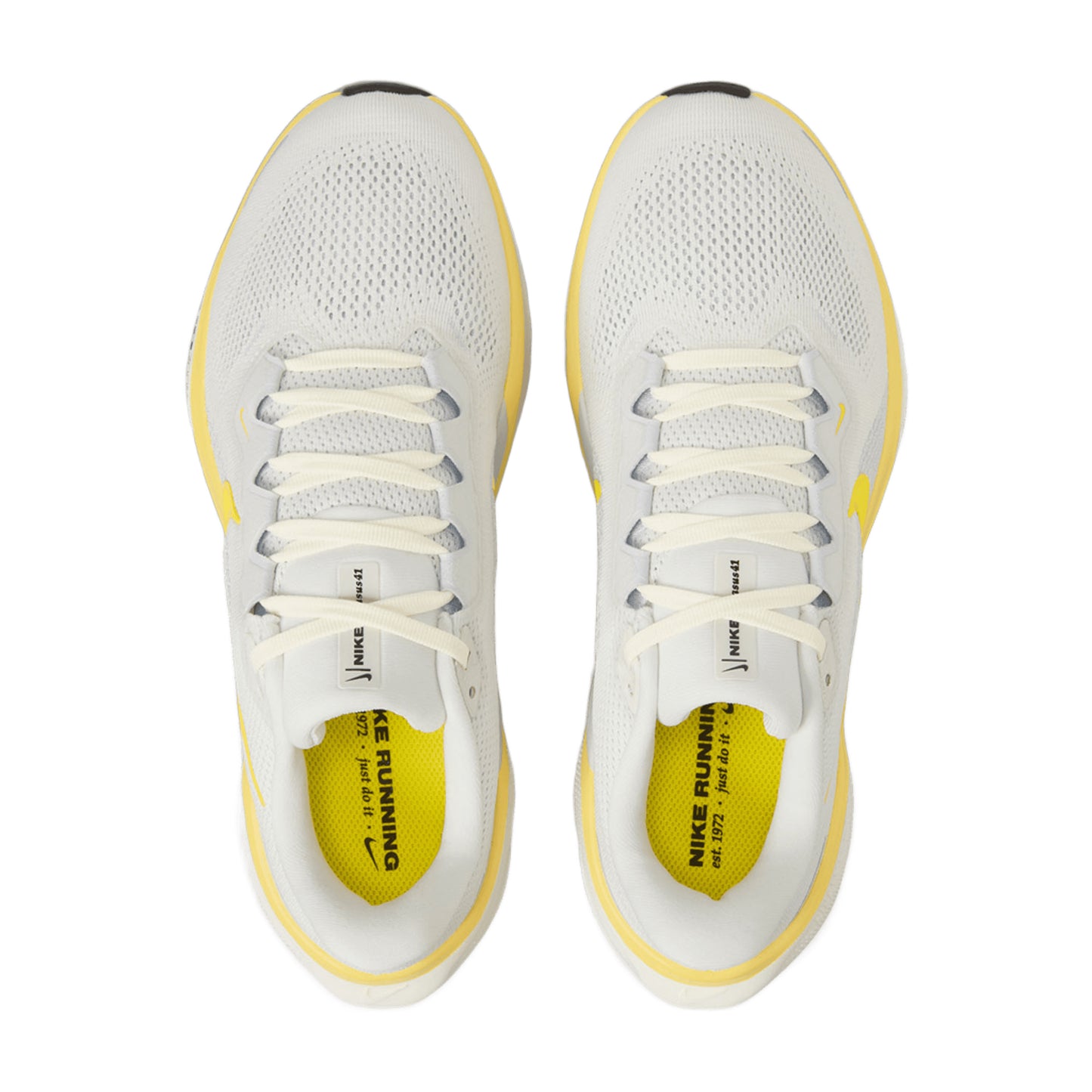 NIKE WOMEN'S PEGASUS 41