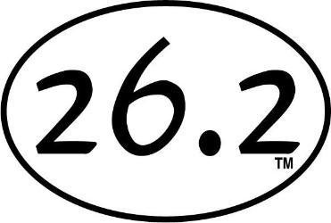 BAYSIX LARGE OVAL STICKER