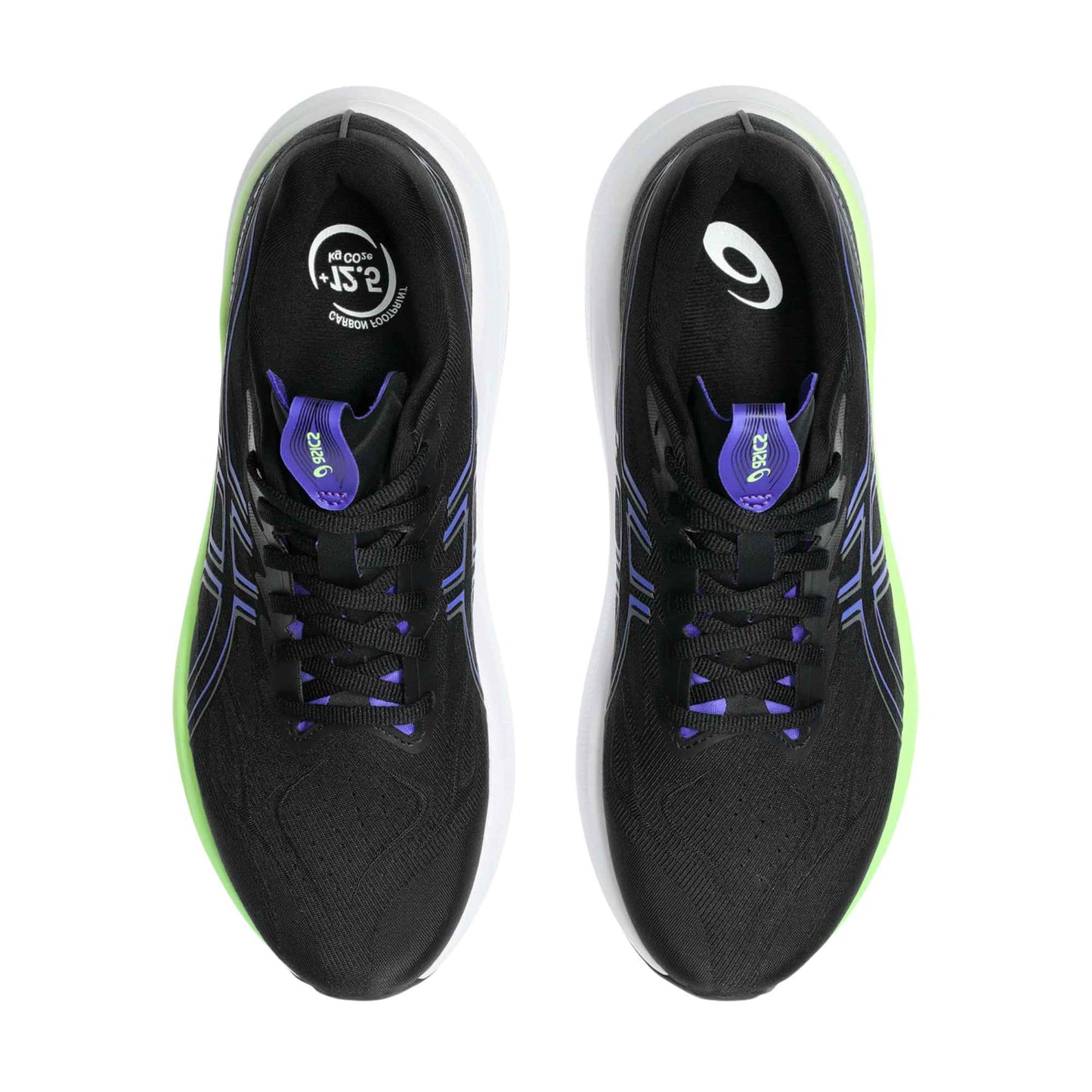 ASICS MEN'S GT-2000 V14