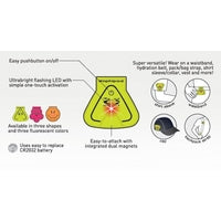 AMPHIPOD SINGLE TRIANGLE