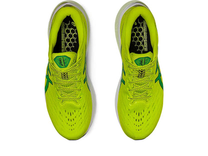 ASICS MEN'S 2000 V11
