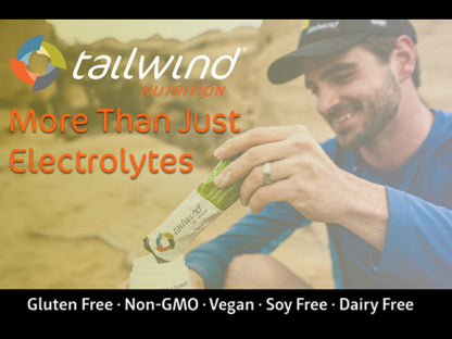 TAILWIND ENDURANCE FUEL SINGLE STICK