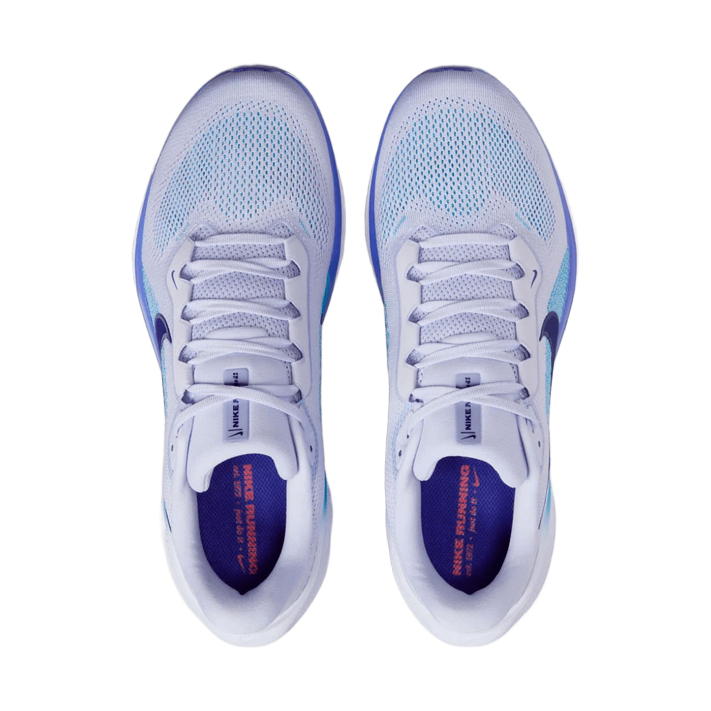 NIKE MEN'S PEGASUS 41