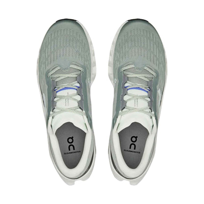 ON RUNNING MEN'S CLOUDMONSTER 3