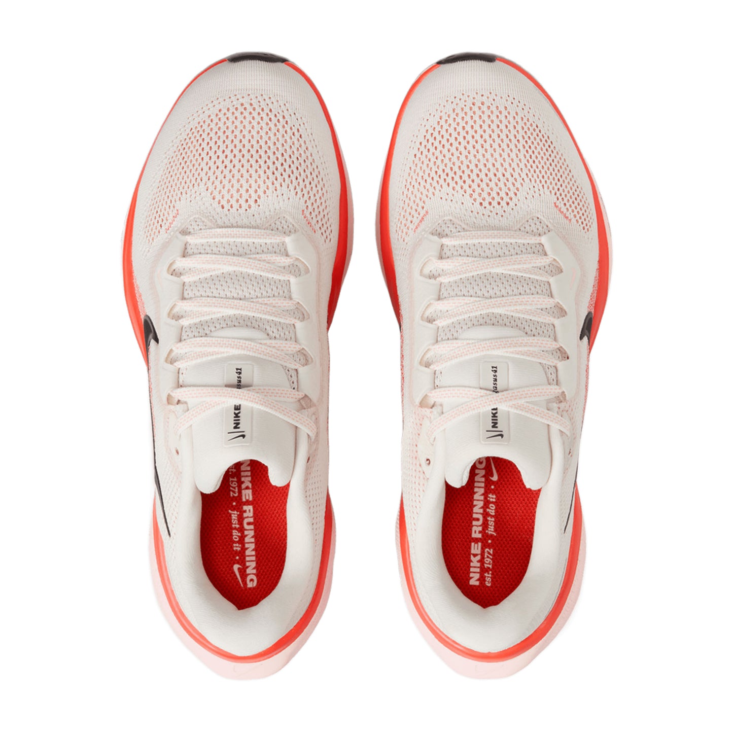 NIKE WOMEN'S PEGASUS 41