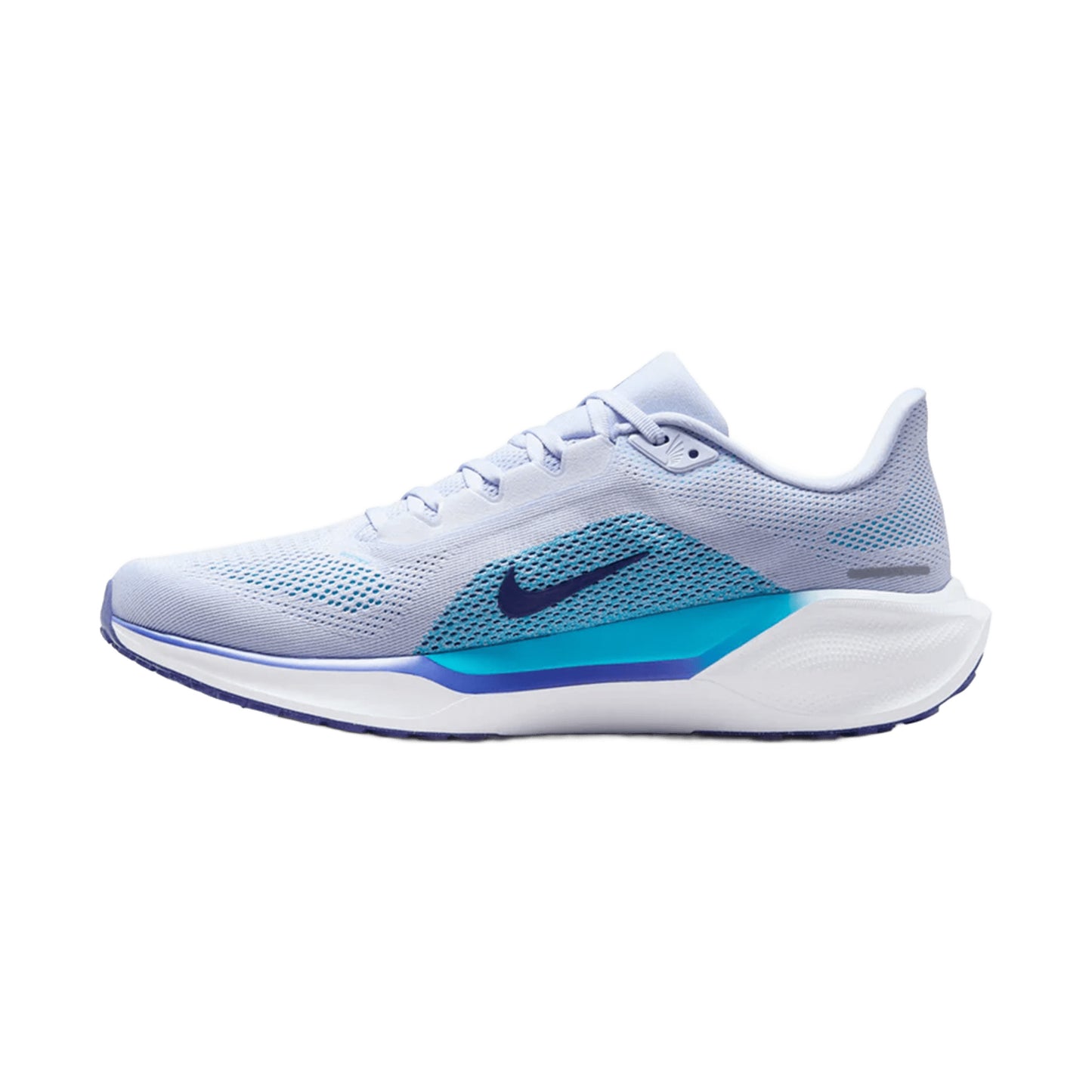 NIKE MEN'S PEGASUS 41