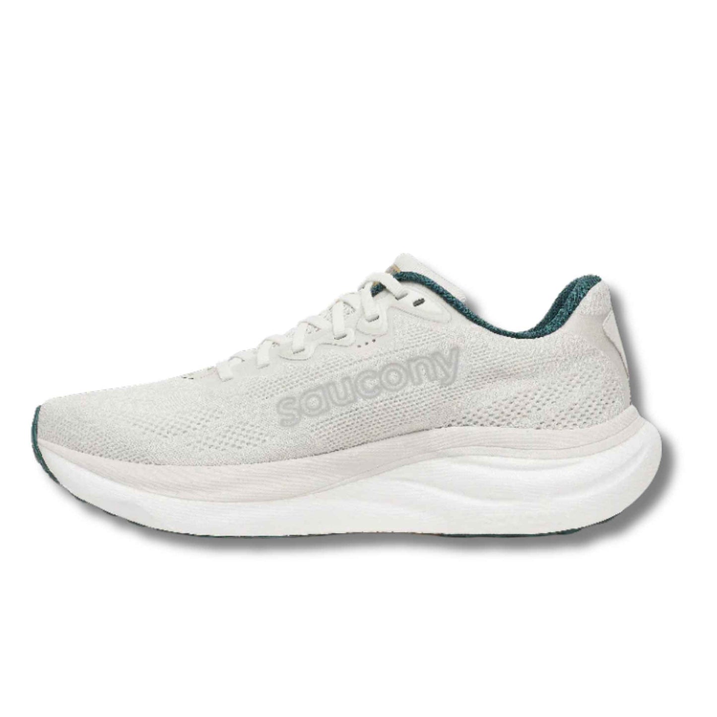 SAUCONY MEN'S RIDE 19