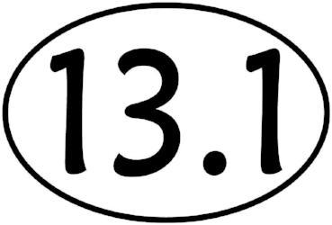 BAYSIX LARGE OVAL STICKER