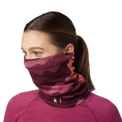 SMARTWOOL THERMAL MERINO COLORBLOCK NECK GAITER