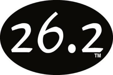 BAYSIX LARGE OVAL STICKER