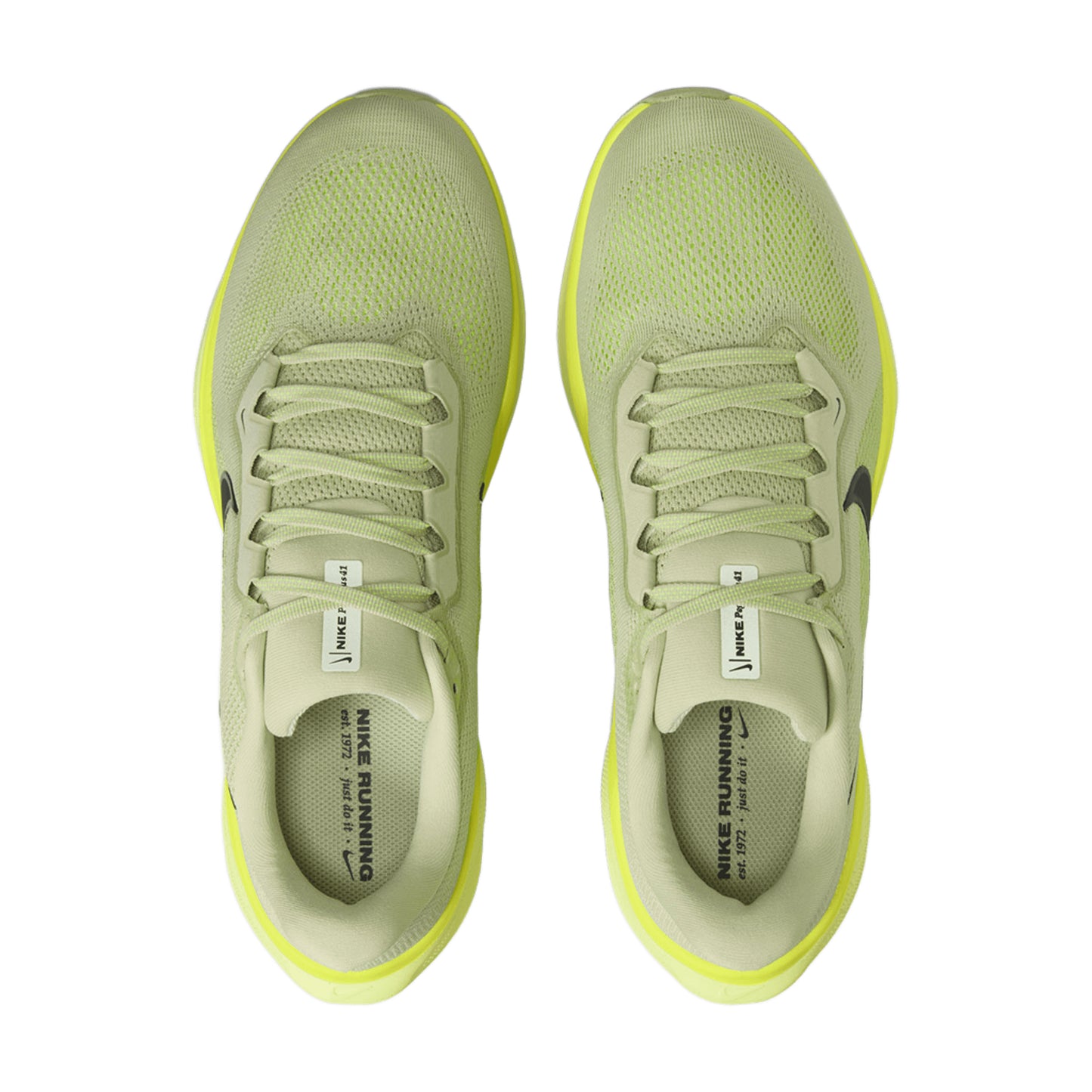 NIKE MEN'S PEGASUS 41