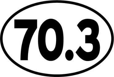 BAYSIX LARGE OVAL STICKER