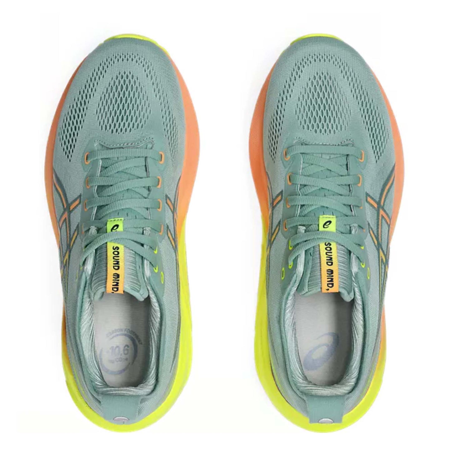 ASICS MEN'S KAYANO 31