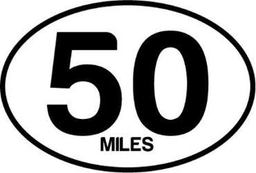 BAYSIX LARGE OVAL STICKER
