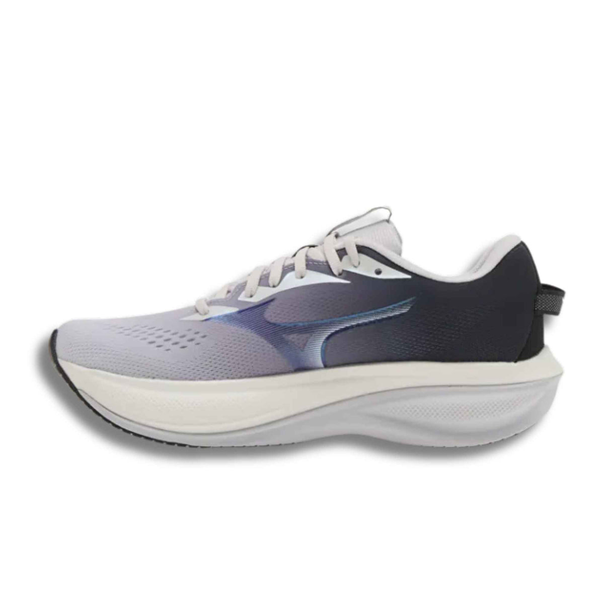 MIZUNO MEN'S WAVE RIDER 30
