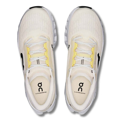 ON RUNNING MEN'S CLOUDMONSTER 3