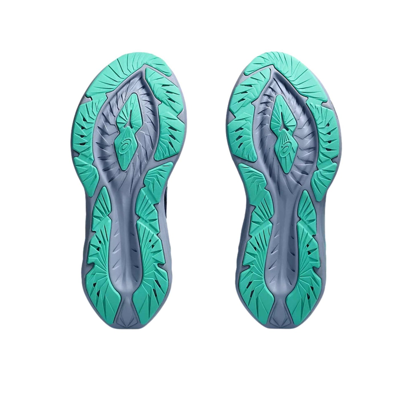 ASICS WOMEN'S NOVABLAST 4