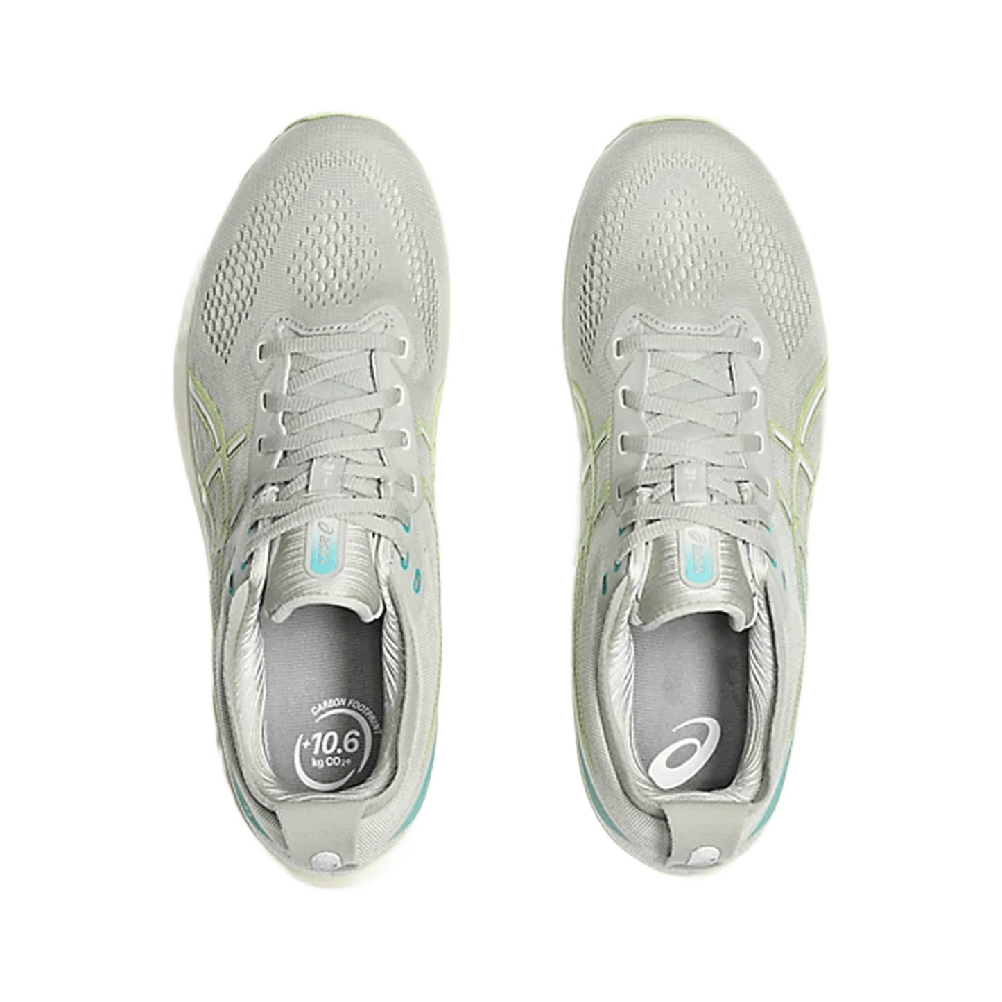 ASICS MEN'S KAYANO 31
