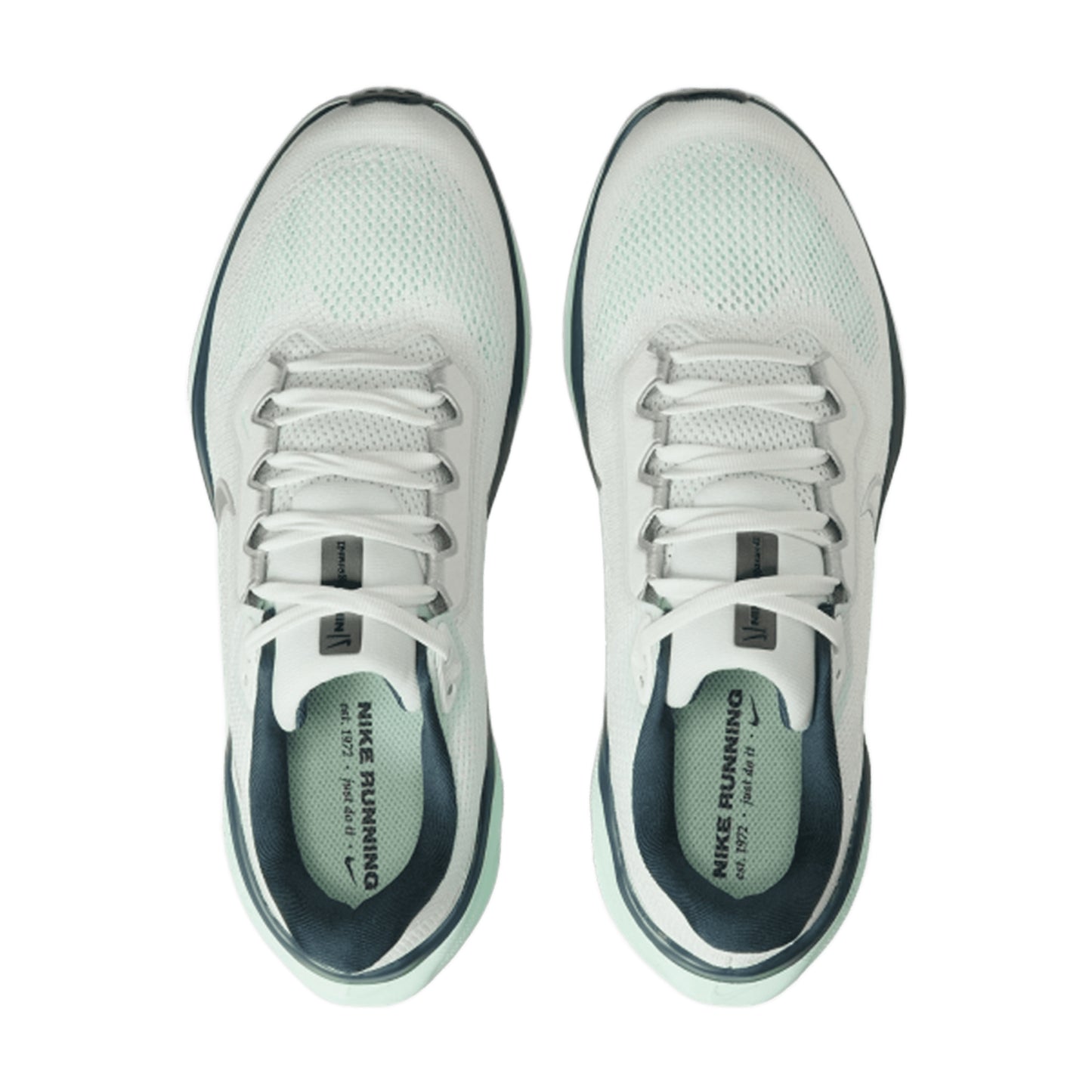 NIKE WOMEN'S PEGASUS 41
