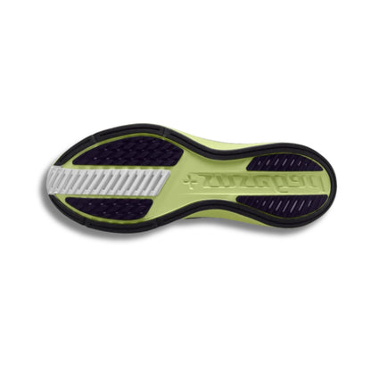 NIKE MEN'S PEGASUS PLUS 2