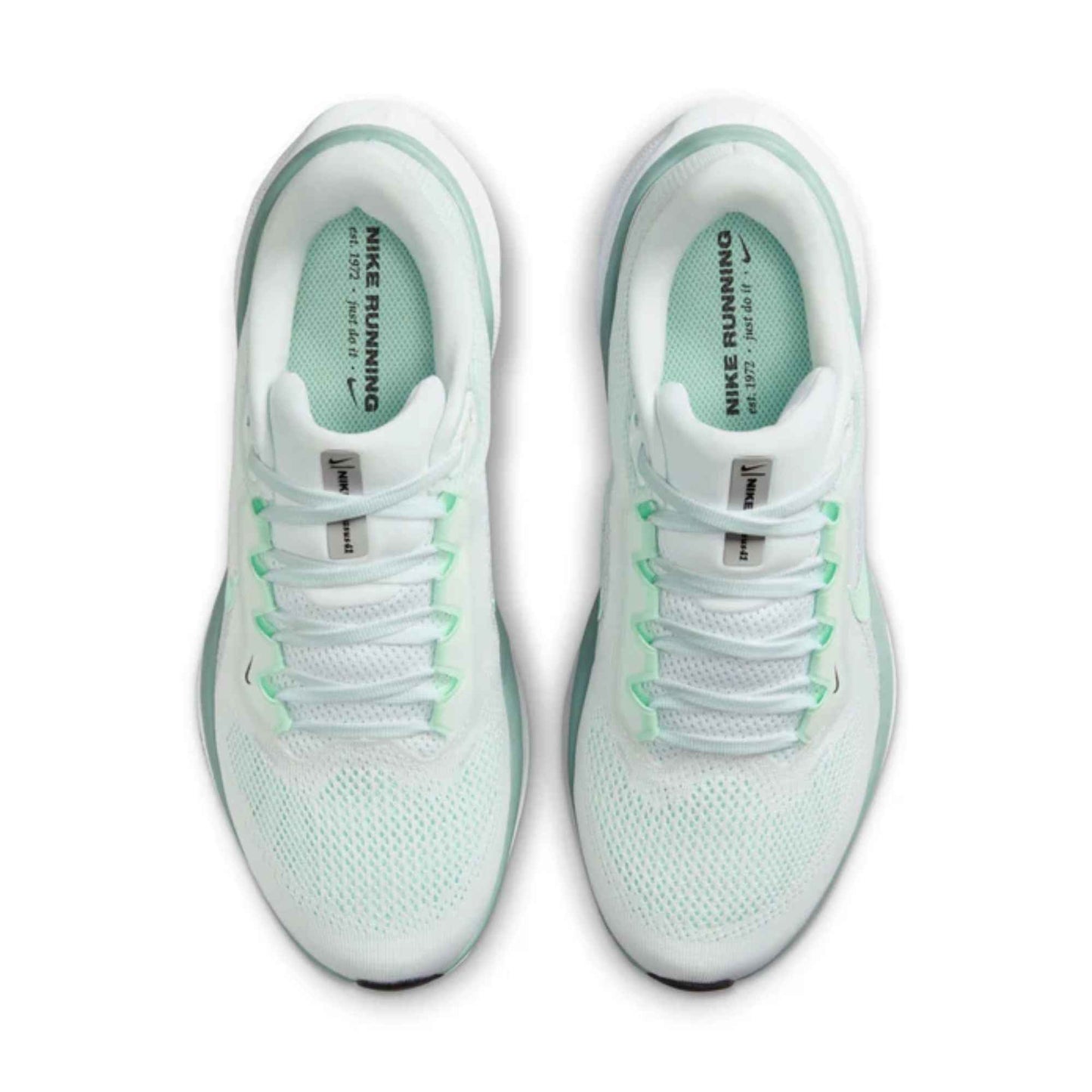 NIKE WOMEN'S PEGASUS 41