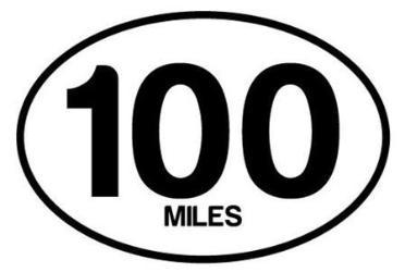 BAYSIX LARGE OVAL STICKER