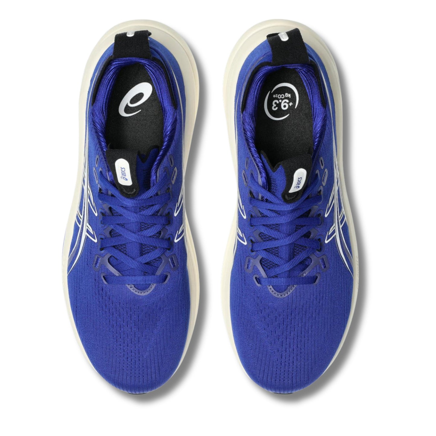 ASICS MEN'S NIMBUS 28