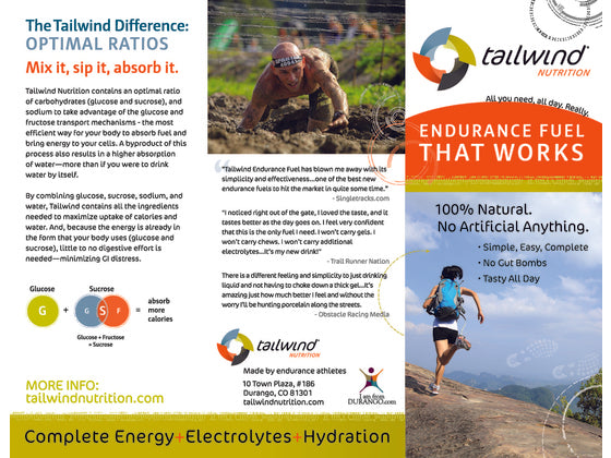 TAILWIND ENDURANCE FUEL SINGLE STICK