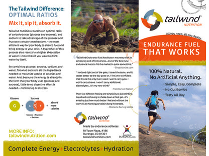 TAILWIND ENDURANCE FUEL SINGLE STICK