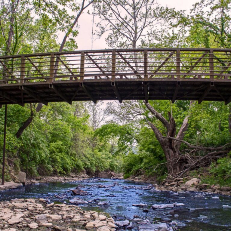 Mill Creek Streamway Park is a favorite running route of TRWS Guru
