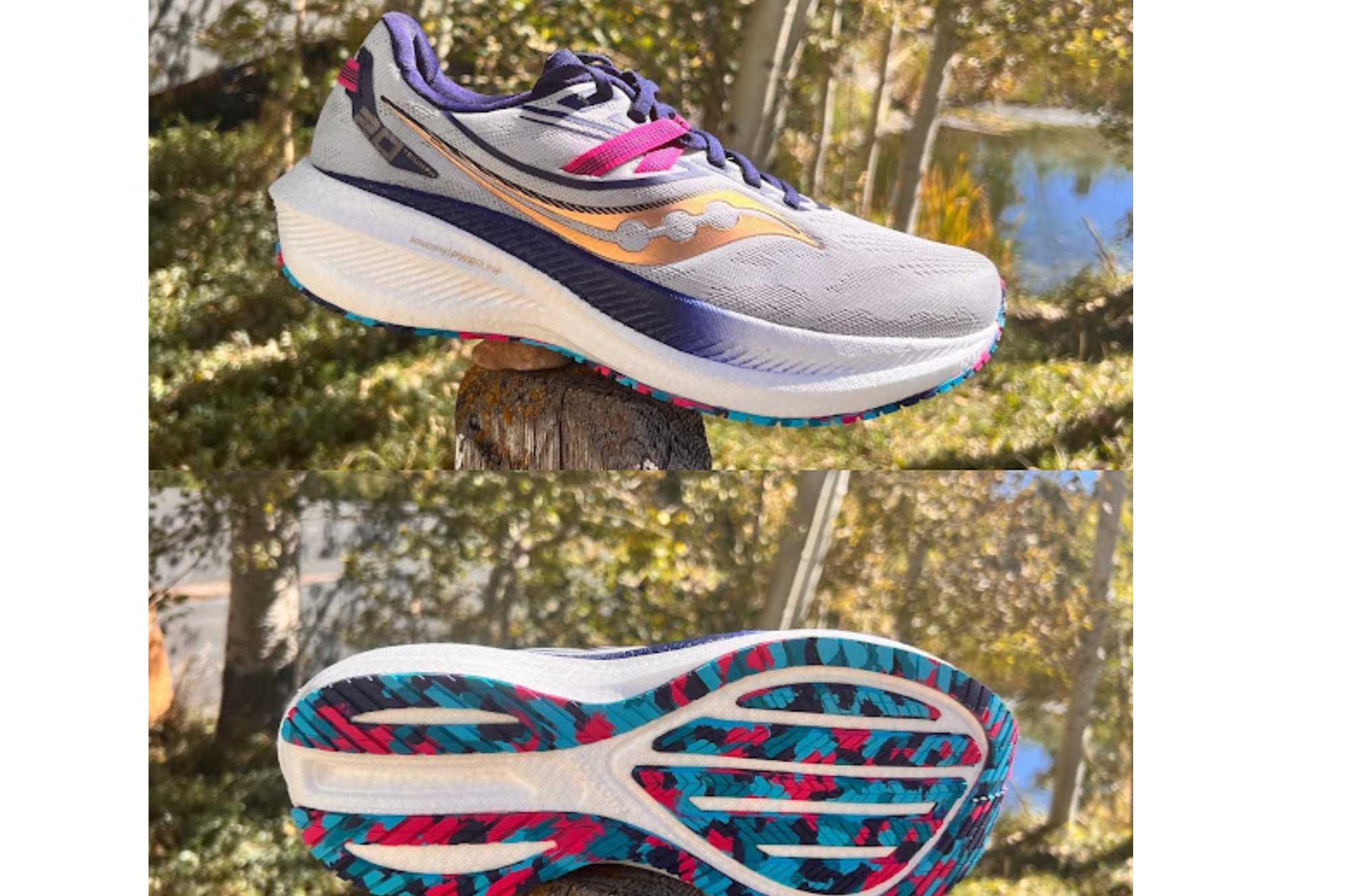 Saucony Triumph 20 Review The Running Well Store Running Shoe